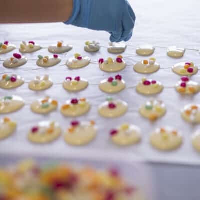 Schilderspalletjes (melk + wit met suikereitjes) - 150g